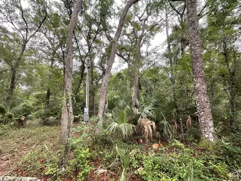 11042 Forest St, Perry, FL 32347 photo 40