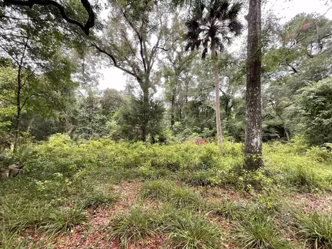 11042 Forest St, Perry, FL 32347 photo 7
