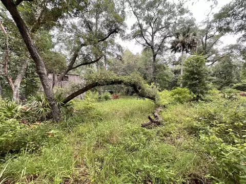 11042 Forest St, Perry, FL 32347 photo 6