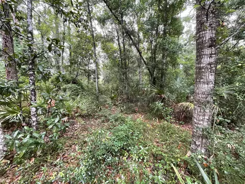 11042 Forest St, Perry, FL 32347 photo 28