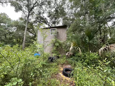 11042 Forest St, Perry, FL 32347 photo 23