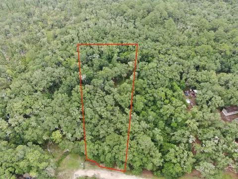 11042 Forest St, Perry, FL 32347