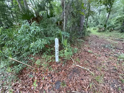 11042 Forest St, Perry, FL 32347 photo 41