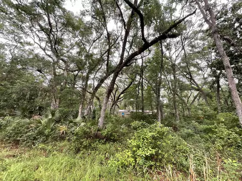 11042 Forest St, Perry, FL 32347 photo 26