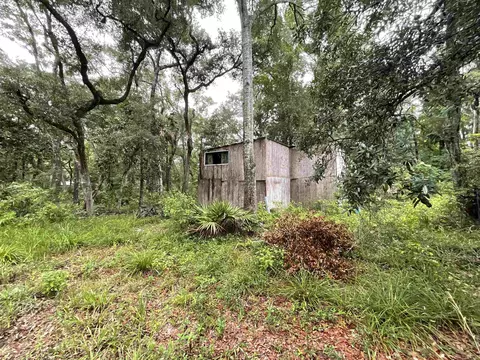 11042 Forest St, Perry, FL 32347 photo 21