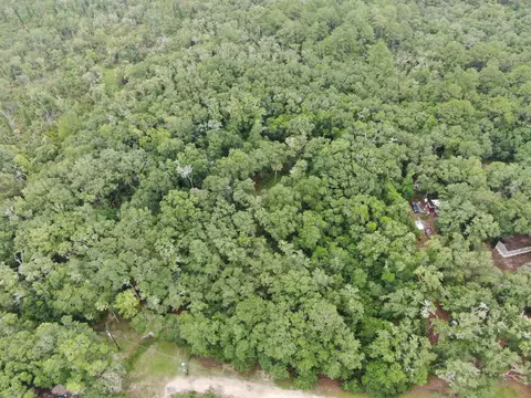 11042 Forest St, Perry, FL 32347 photo 2