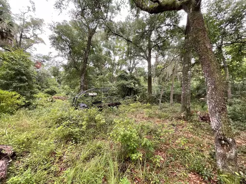 11042 Forest St, Perry, FL 32347 photo 39