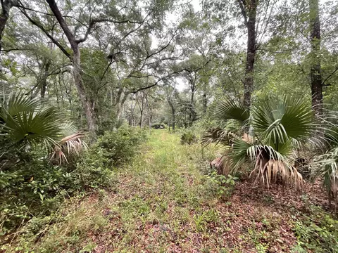 11042 Forest St, Perry, FL 32347 photo 13