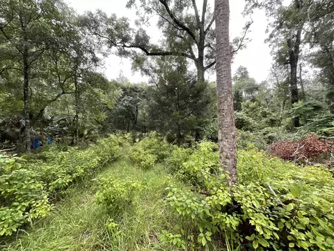 11042 Forest St, Perry, FL 32347 photo 11