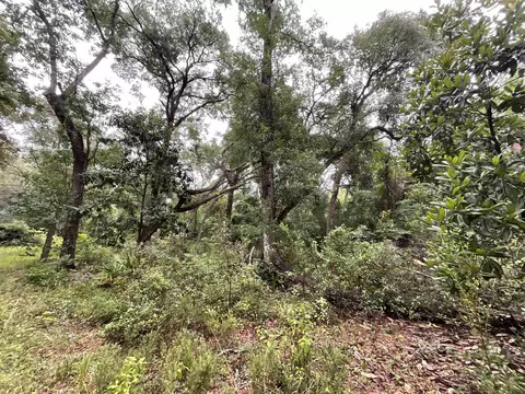 11042 Forest St, Perry, FL 32347 photo 34