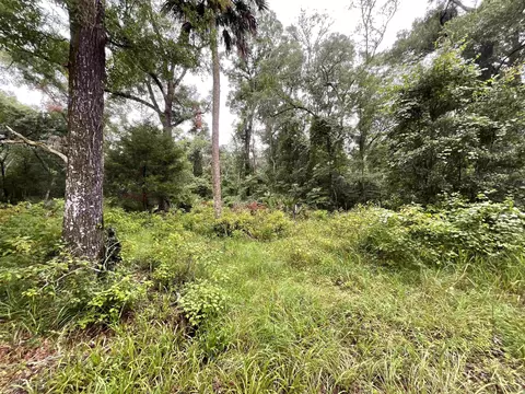 11042 Forest St, Perry, FL 32347 photo 10