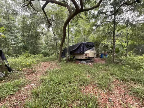 11042 Forest St, Perry, FL 32347 photo 18