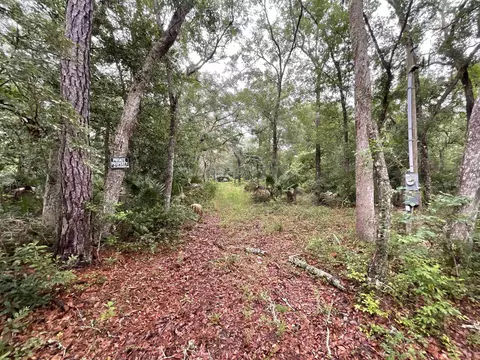 11042 Forest St, Perry, FL 32347 photo 8