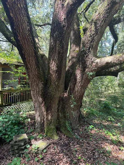 16120 Star Hill Rd, Tallahassee, FL 32310