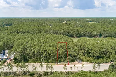 151 Royal Tern Way, St James, FL 32322 photo 4