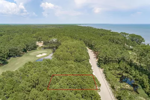 151 Royal Tern Way, St James, FL 32322 photo 2