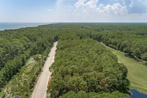 151 Royal Tern Way, St James, FL 32322 photo 6