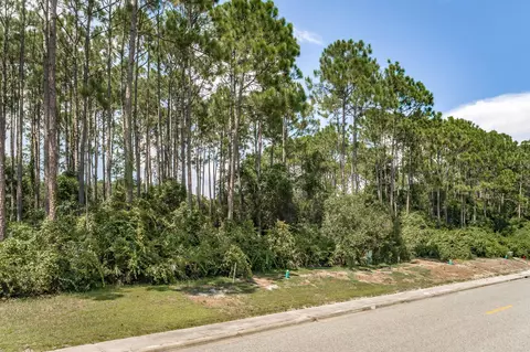 151 Royal Tern Way, St James, FL 32322 photo 3