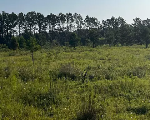 tbd N Salt Rd, Monticello, FL 32344 photo 5