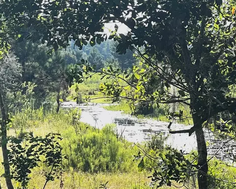 tbd N Salt Rd, Monticello, FL 32344 photo 6
