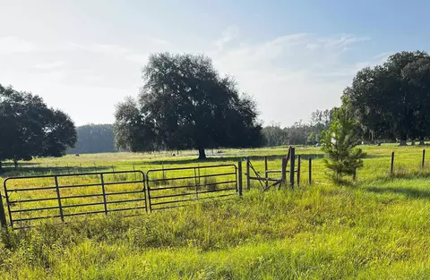 Tbd N Salt Road, Monticello, FL 32344
