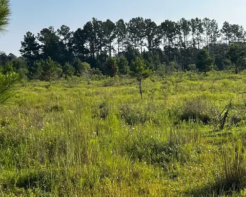 tbd N Salt Rd, Monticello, FL 32344 photo 2