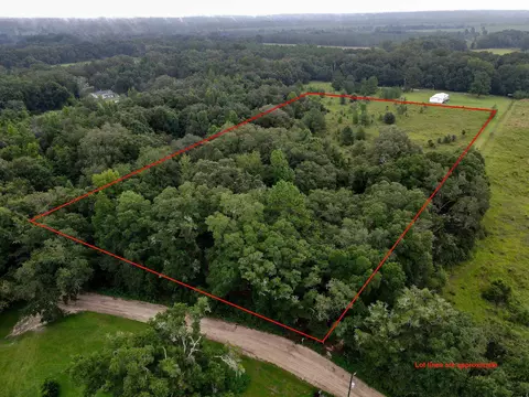Vacant NE Thistle Avenue, Pinetta Madison County, FL 32350