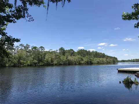 Nn Big Fish Drive, Sopchoppy, FL 32358