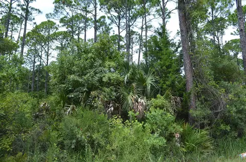 tbd Jody Morgan Rd, Keaton Beach, FL 32348 photo 13