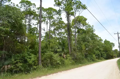 tbd Jody Morgan Rd, Keaton Beach, FL 32348 photo 9