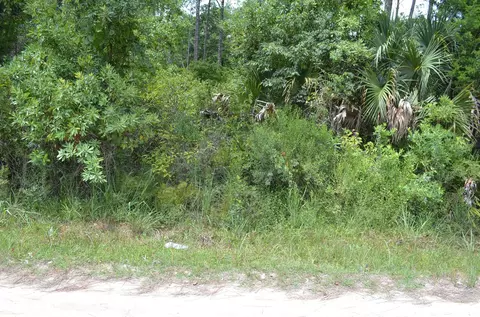 tbd Jody Morgan Rd, Keaton Beach, FL 32348 photo 11