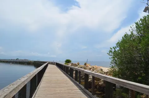 tbd Jody Morgan Rd, Keaton Beach, FL 32348 photo 23