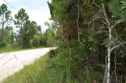 tbd Jody Morgan Rd, Keaton Beach, FL 32348 photo 18