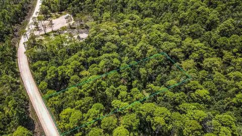 tbd Jody Morgan Rd, Keaton Beach, FL 32348 photo 7