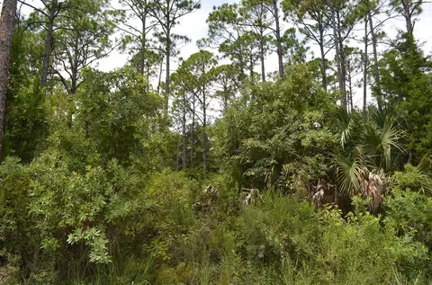 tbd Jody Morgan Rd, Keaton Beach, FL 32348 photo 12