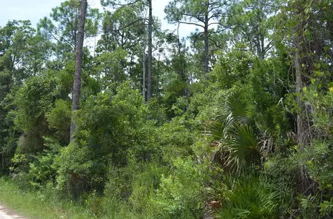 tbd Jody Morgan Rd, Keaton Beach, FL 32348 photo 14