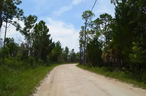 tbd Jody Morgan Rd, Keaton Beach, FL 32348 photo 10