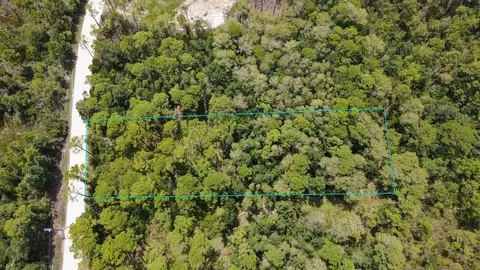 tbd Jody Morgan Rd, Keaton Beach, FL 32348 photo 6