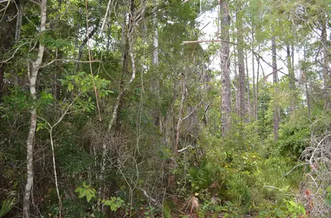 tbd Jody Morgan Rd, Keaton Beach, FL 32348 photo 16