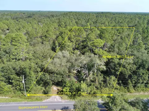 1026 Sopchoppy Hwy, Sopchoppy, FL 32358