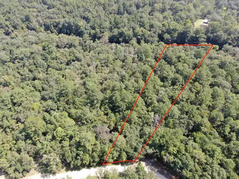 Vacant NE Madison Bluffs Way, Lee, FL 32059