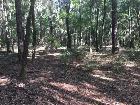 4723 Emanuel Dr, Tallahassee, FL 32303