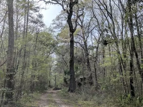 Nn Narvaez Trail, Crawfordville, FL 32327