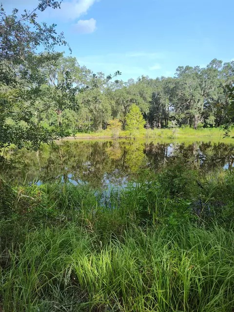 3388 Lipscomb Cir, Perry, FL 32348 photo 23
