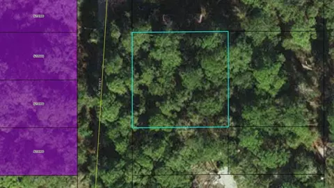 22 L M Street, Crawfordville, FL 32327