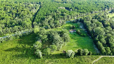 Tbd Puckett Rd, Perry, FL 32348 photo 2