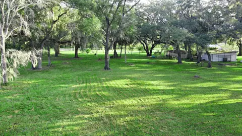 Tbd Puckett Rd, Perry, FL 32348 photo 8