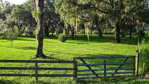 Tbd Puckett Rd, Perry, FL 32348 photo 12