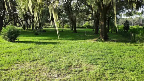 Tbd Puckett Rd, Perry, FL 32348 photo 11