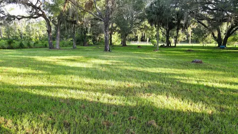 Tbd Puckett Rd, Perry, FL 32348 photo 10